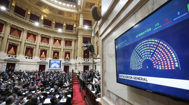 La oposición en Diputados rechazó el veto a la ley de emergencia en discapacidad