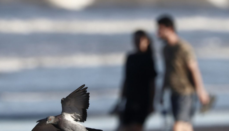 La agenda del fin de Semana Santa para disfrutar del Partido de La Costa