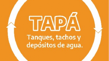 SIN MOSQUITOS NO HAY DENGUE