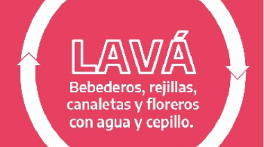 SIN MOSQUITOS NO HAY DENGUE