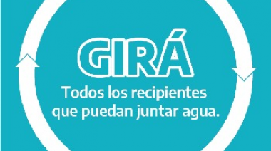 SIN MOSQUITOS NO HAY DENGUE