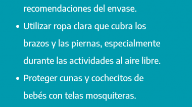 SIN MOSQUITOS NO HAY DENGUE