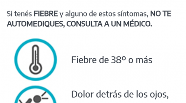 SIN MOSQUITOS NO HAY DENGUE