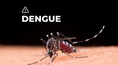 La Municipalidad de La Costa refuerza las acciones para combatir la propagación del dengue