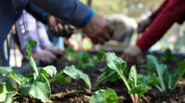 Convocatoria para el programa de “Huertas Urbanas” dirigido a productores locales de alimentos