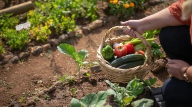 Convocatoria para el programa de “Huertas Urbanas” dirigido a productores locales de alimentos