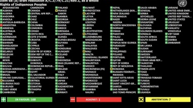 Insólito: Argentina, el único país de la ONU que votó en contra de una resolución sobre derechos indígenas