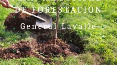 Comenzarán con el plan de forestación municipal en las tres localidades