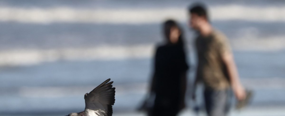 La agenda del fin de Semana Santa para disfrutar del Partido de La Costa