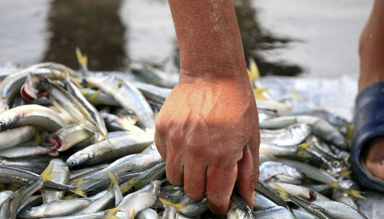 Los puntos de primera venta de pescado artesanal que continúan funcionando en marzo