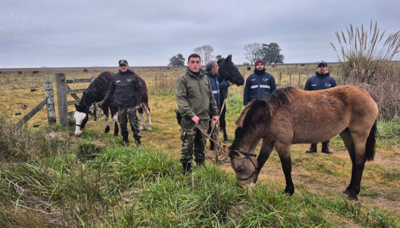 Se entregaron caballos al Centro de Rescate y Rehabilitación Equina