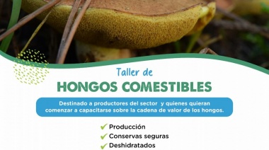 Inscripción abierta para el Taller agroecológico de hongos comestibles