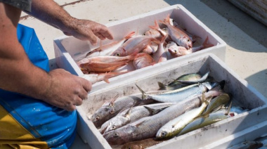 Puestos de pescado local fresco en La Costa: calidad y 40% de reintegros durante las vacaciones de invierno