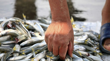 Los puntos de primera venta de pescado artesanal que continúan funcionando en marzo
