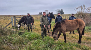 Se entregaron caballos al Centro de Rescate y Rehabilitación Equina