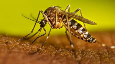Capacitación sobre enfermedades vectoriales y prevención del mosquito Aedes Aegypti