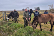 Se entregaron caballos al Centro de Rescate y Rehabilitación Equina